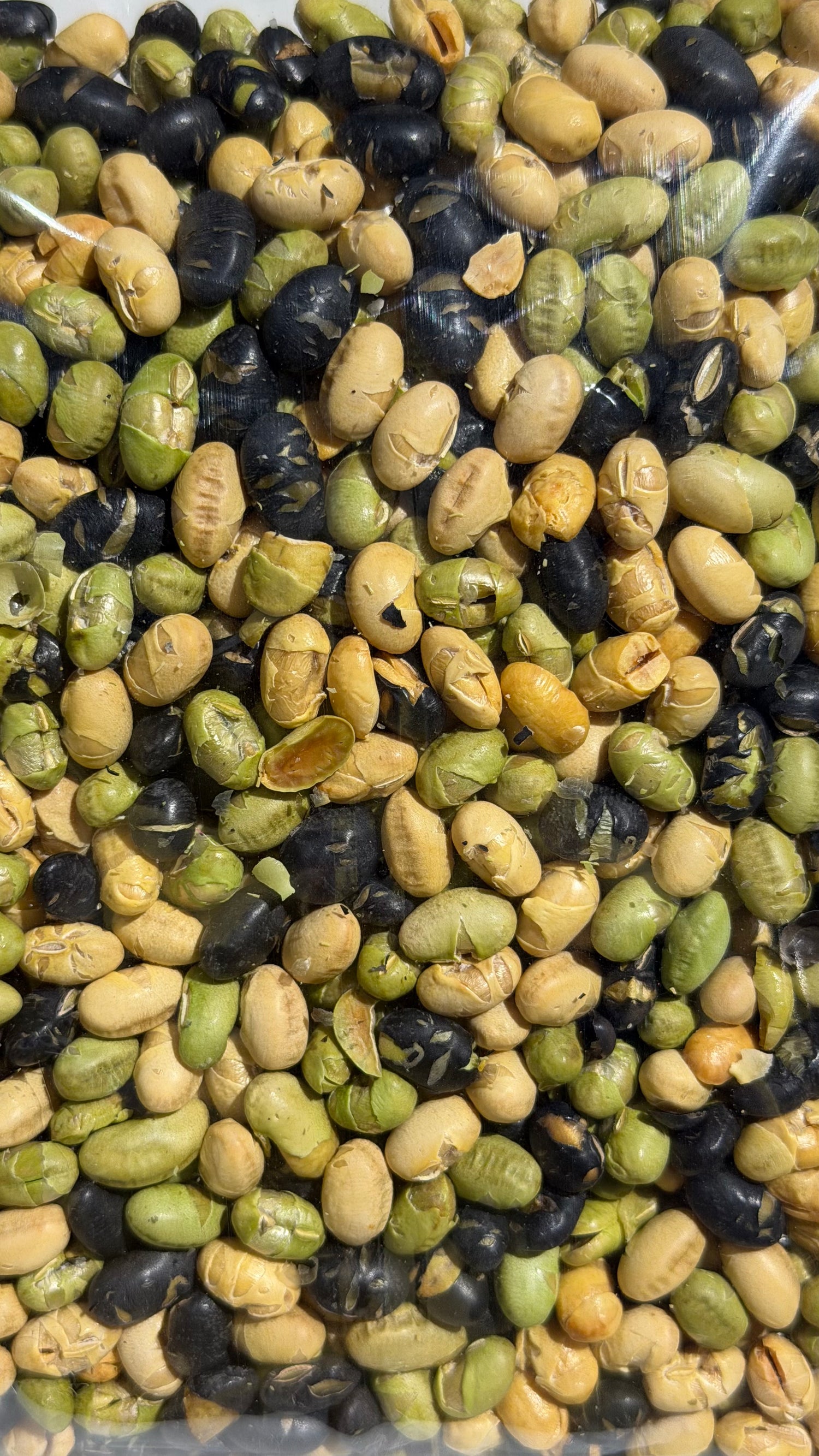 Roasted Protein Beans 250G (Unsalted)