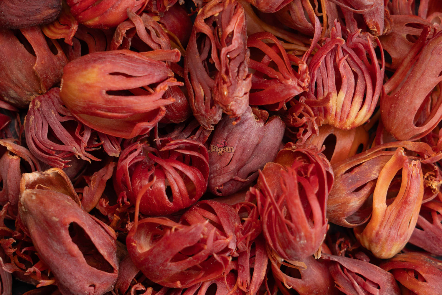 Premium Mace Spice 25G