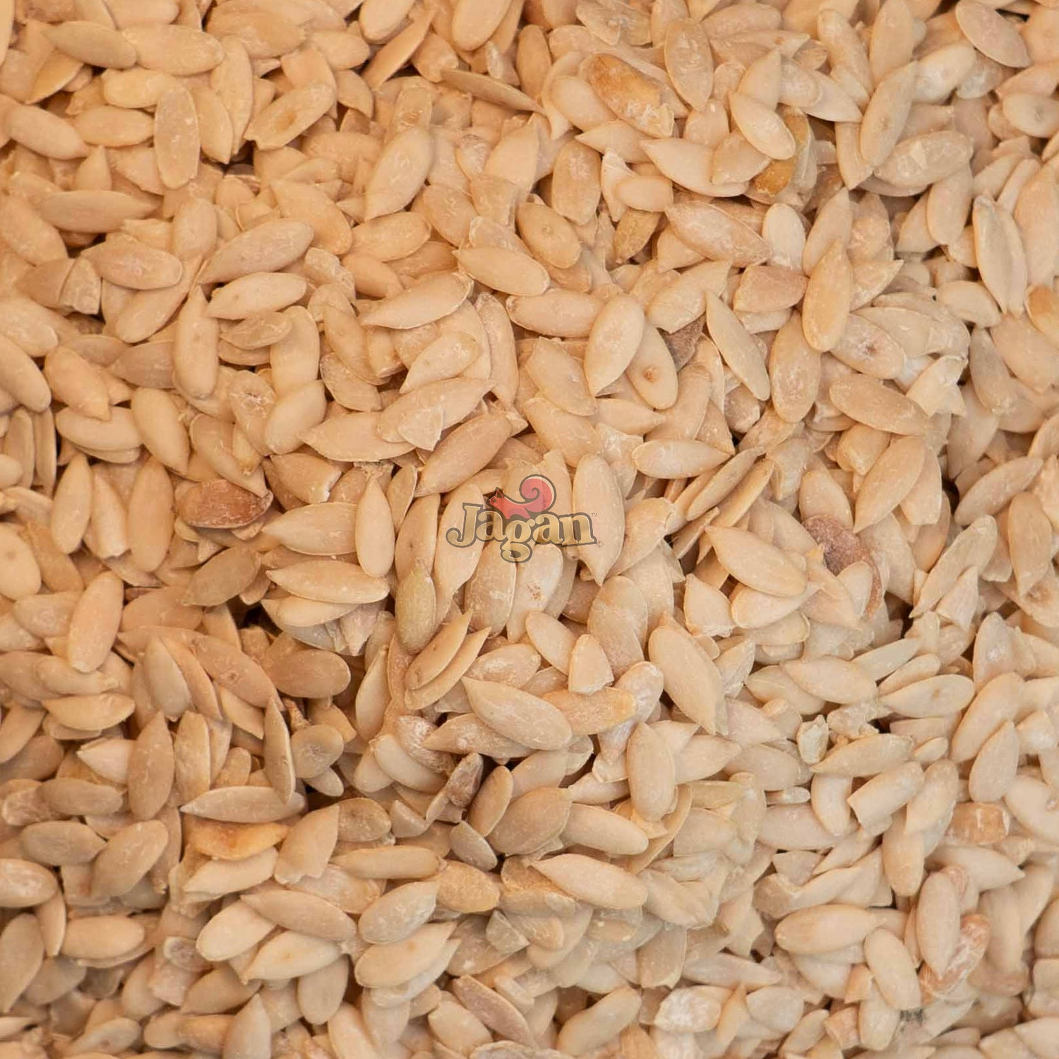 Cucumber seeds 200G