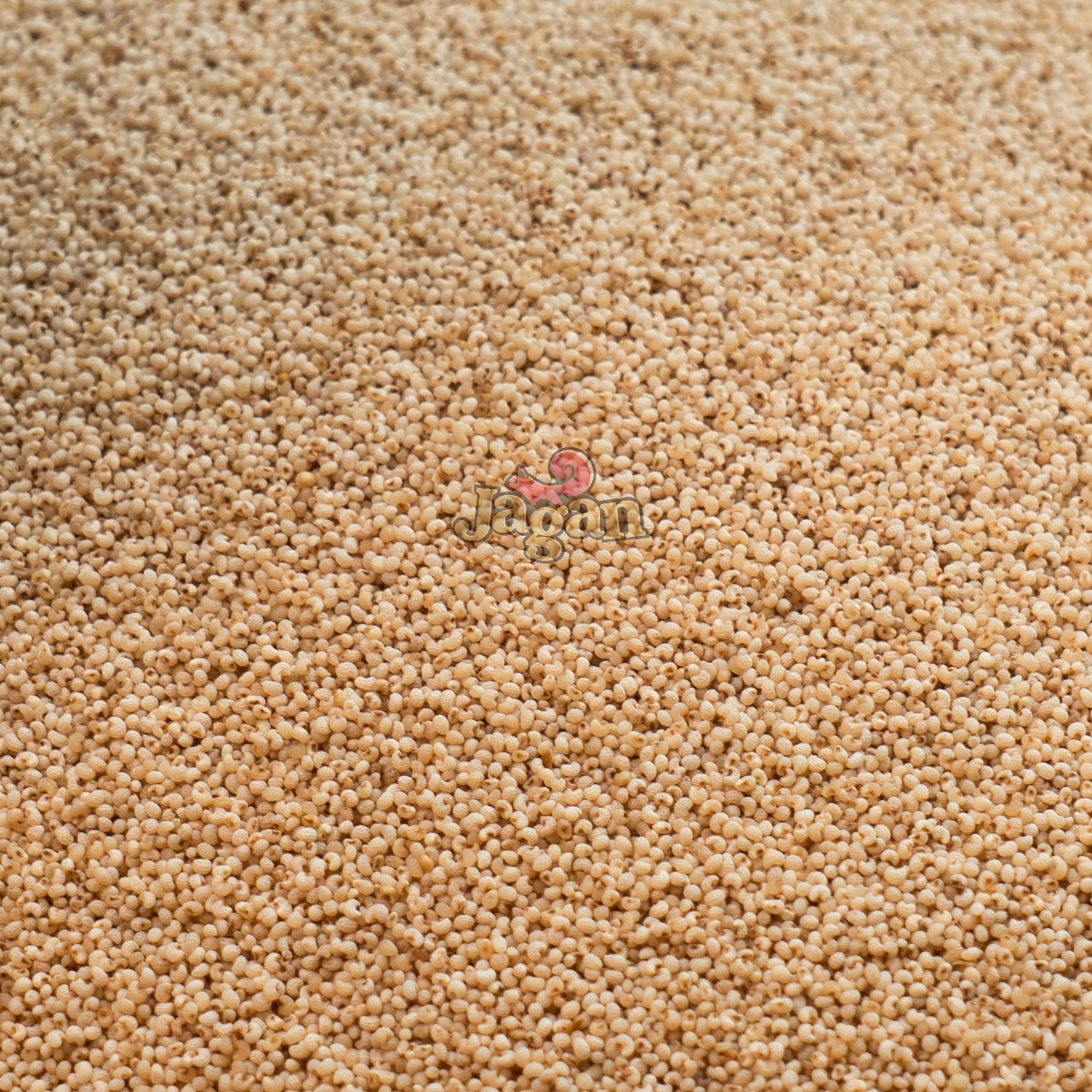 Premium Poppy Seeds Gasa 250G